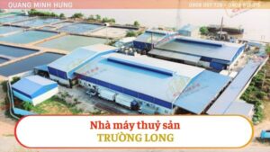 Giào Giáo Xây Dựng Công Trình Nhà Máy Thuỷ Sản Trường Long