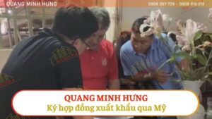 Quang Minh Hưng Kí Hợp Đồng Xuất Khẩu Qua Mỹ