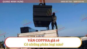 Ván Coppha Giá Rẻ Có Những Phân Loại Nào?