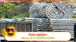 Kinh nghiệm mua cây chống tăng